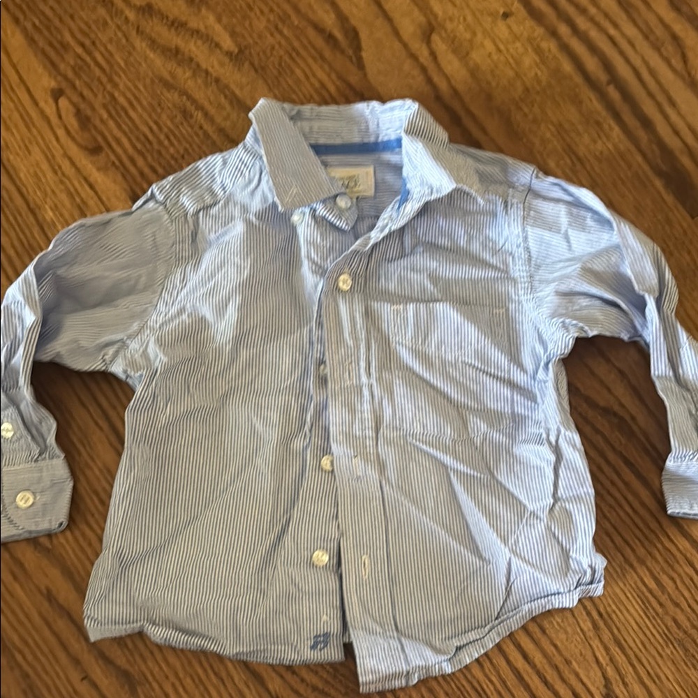 The Children's Place Blue Button Down Shirt Classic Style